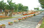 大隅広域公園